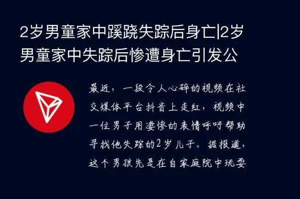 两岁男婴失踪案游戏攻略　2岁男孩失踪后身亡