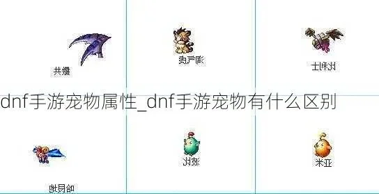 dnf 手游最新宠物-dnf手游新宠物详解